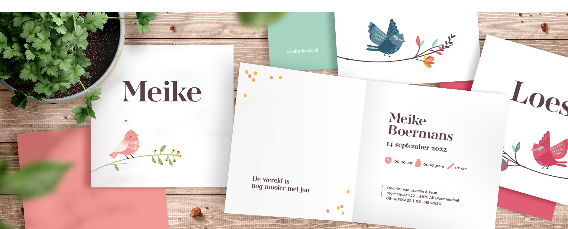 Geboortekaartjes Studio Draak