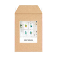 Set met 4 kaarten Studio Draak